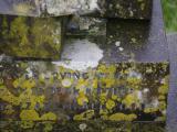 image of grave number 807806